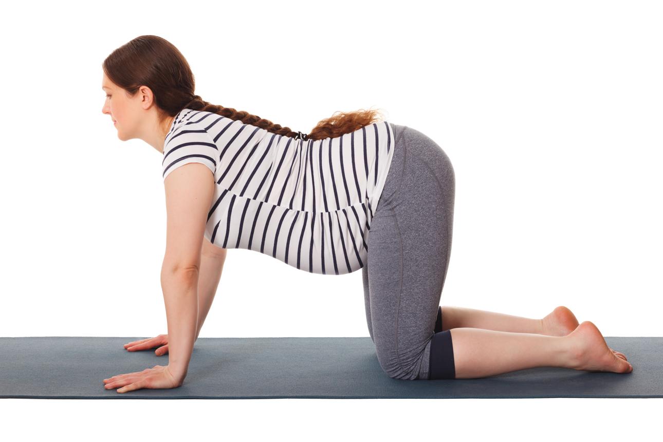 Stability Asanas Practice